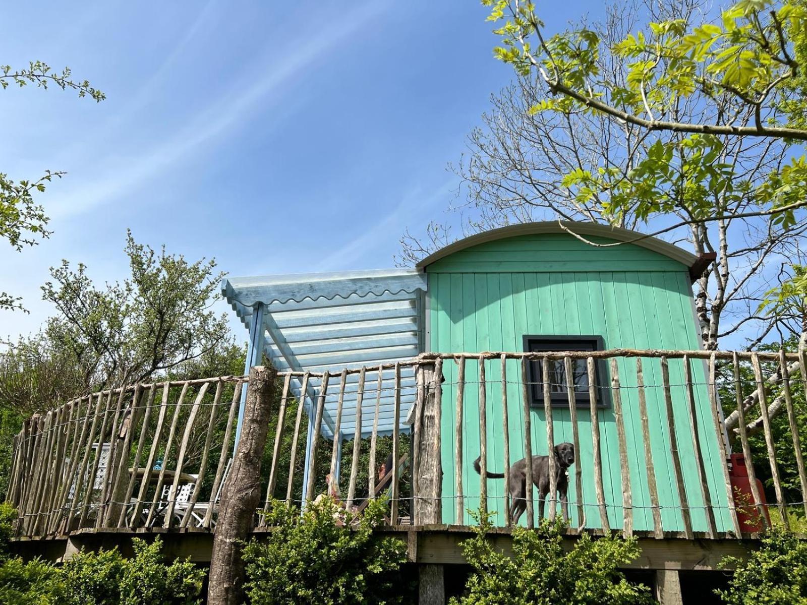 Lapin Cottage Long Bredy Экстерьер фото